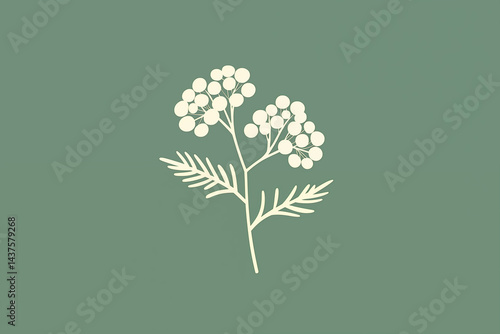 Minimal flat design Yarrow flower and leaf icon, soft colors, clean lines, PNG with transparent background