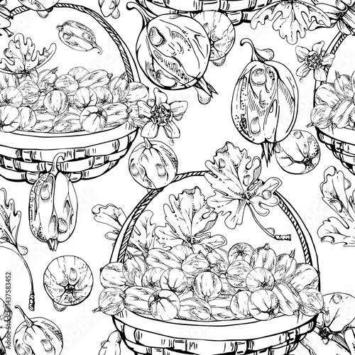 Gooseberry Currant in weaved basket with leaves, hand drawn in vector ink, scattered ripe picked berry harvest. Isolated seamless pattern. Dessert cafe menu, cookbook, craft farmers market, gardening