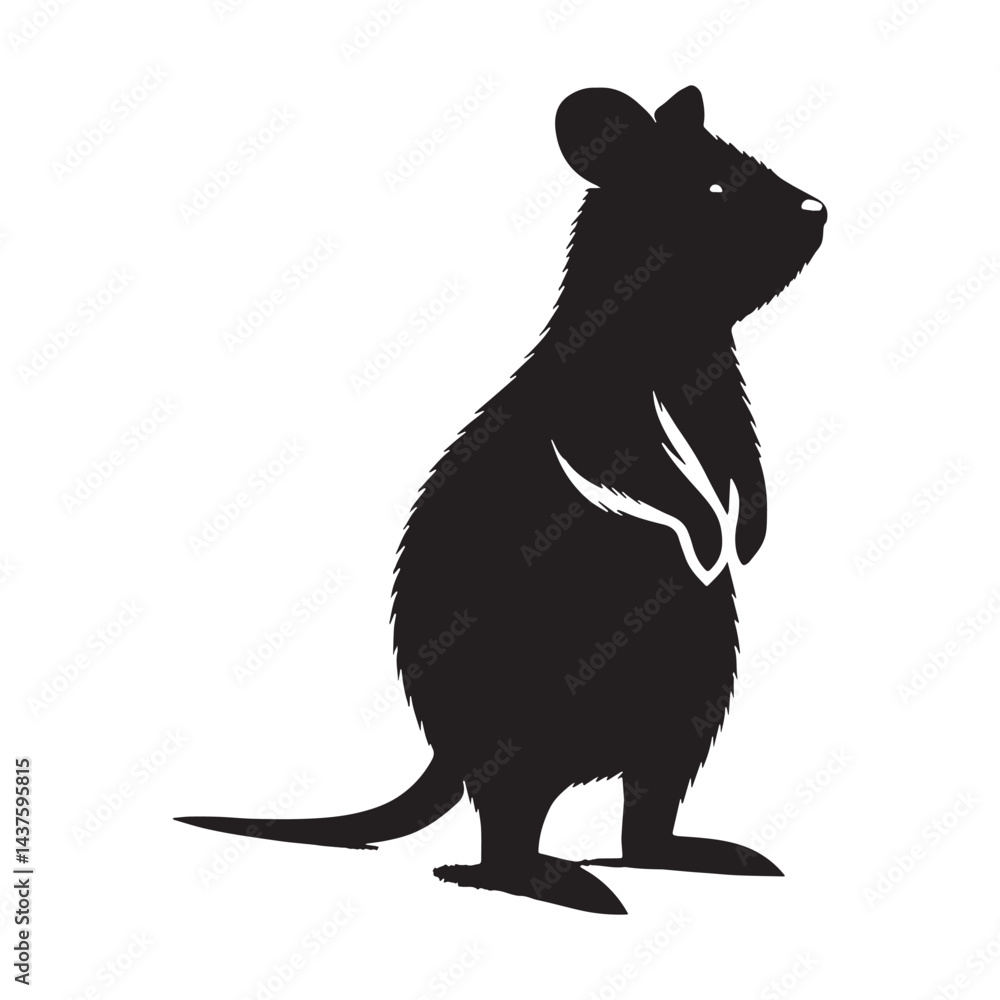 Fototapeta premium Cute and energetic quokka silhouette vector perfect for branding youthful brands – quokka silhouette – quokka vector – quokka illustration – silhouette of quokka