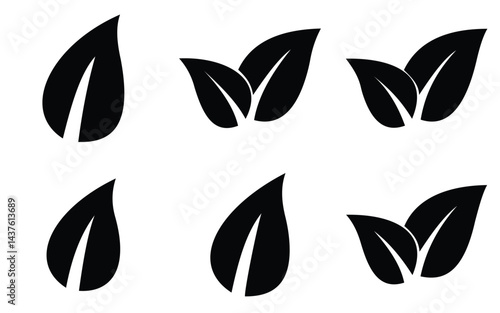 leaf 03