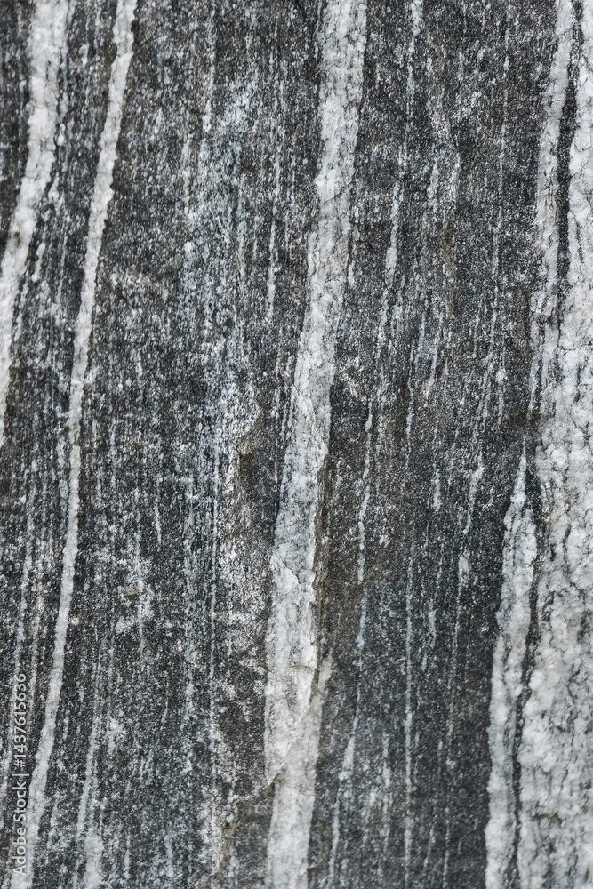 Obraz premium Stone Texture with Gray and White Stripes on Natural Surface, natural stone, in a park, for a background