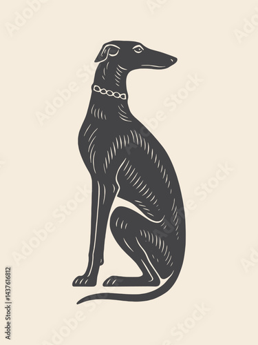 Sitting greyhound dog in vintage engraving style black and white illustration