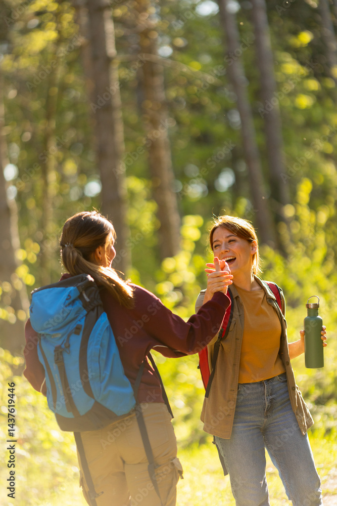 Friends enjoy a joyful moment in the sunlit forest during their adventurous hiking trip