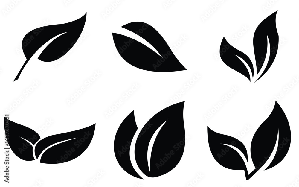 leaf 12 leaf 12