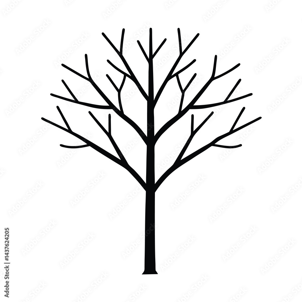 Obraz premium Adobe Illustrator Artwork