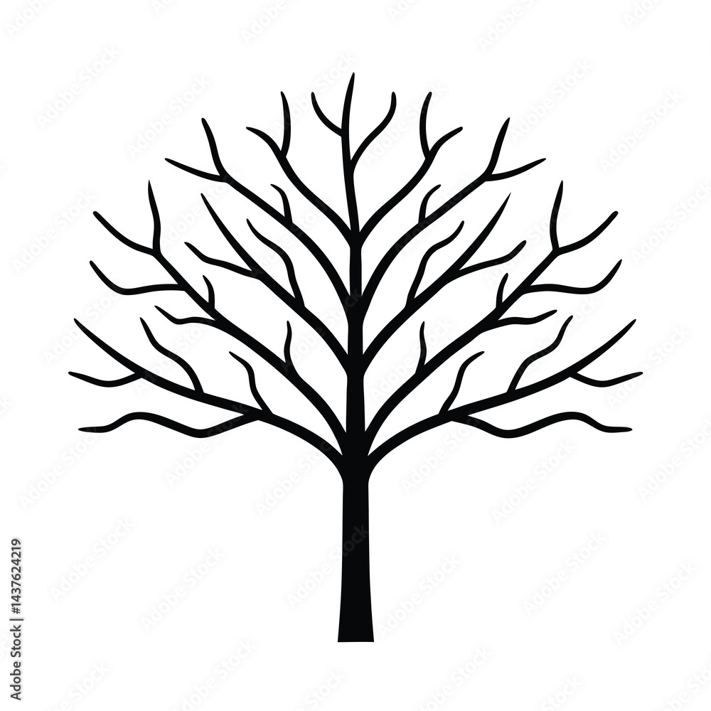 Obraz premium Adobe Illustrator Artwork