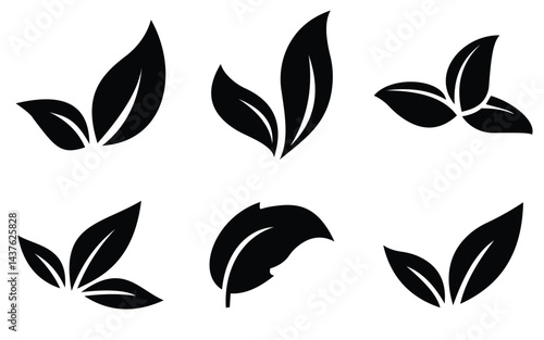 leaf 18