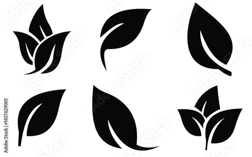 leaf 24