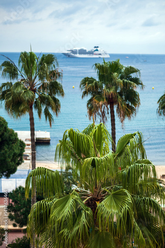 Obraz na płótnie French Riviera beach view with palm trees w salonie