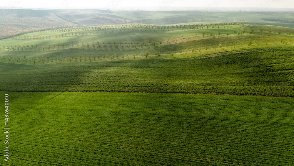 Aerial drone view of agriculture landscape in Moravia