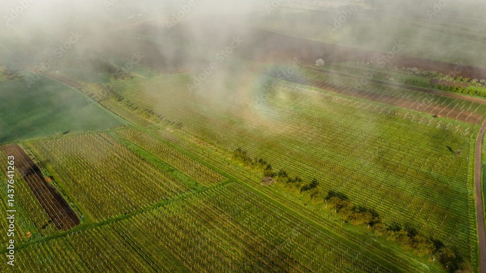 Aerial drone view of agriculture landscape in Moravia