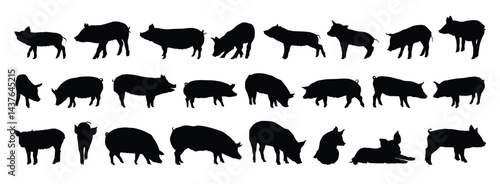 pig and piglet silhouette set. pig and piglet isolated farm animal silhouette icon vector collection