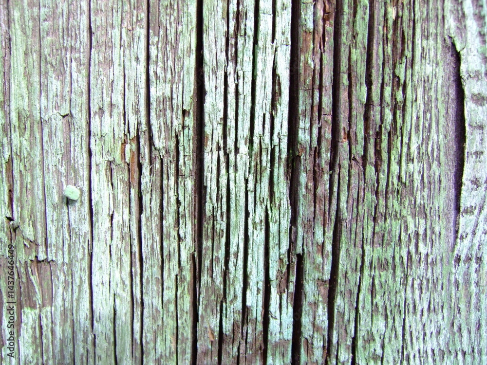 Wood texture revealing natural patterns and weathered details in rustic charm Wood texture revealing natural patterns and weathered details in rustic charm