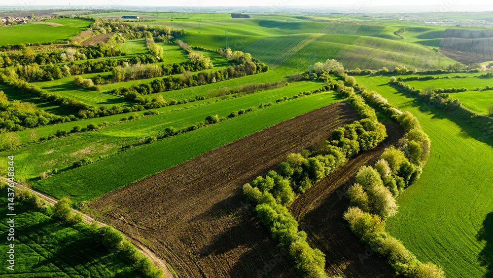 Colorful Patterns in Crop Fields – Drone Landscape Photography