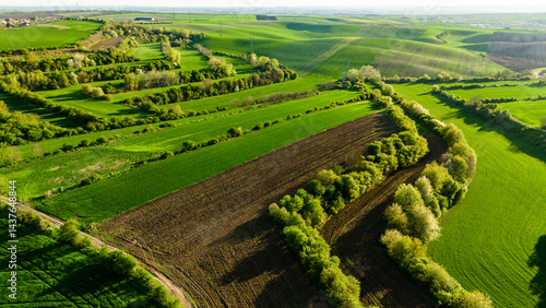 Obraz na płótnie Colorful Patterns in Crop Fields – Drone Landscape Photography w salonie