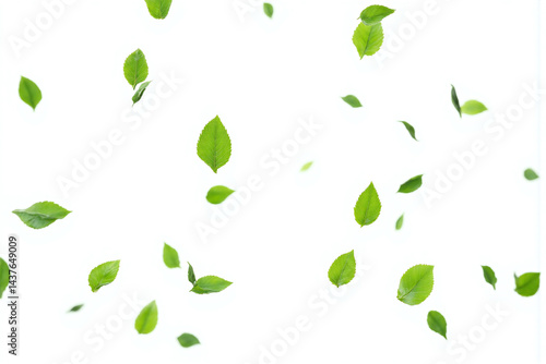 Wallpaper Mural bunch of green leaves flying in the air2 Torontodigital.ca