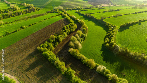 Obraz na płótnie Springtime Countryside in Moravia – Waves of Cultivated Land w salonie
