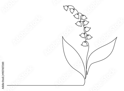 May Lily of the Valley in One Continuous Line Drawing. Simple Minimalist Linear Spring Flower forest May bells. Vector Illustration For design. Hand Drawn Monoline. Editable stroke