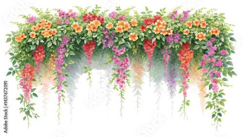 Colorful spring flowers creeper watercolor with white background 