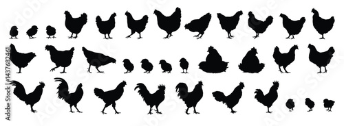 hen or chicken, rooster and chicks silhouette set. hen, rooster and chicks isolated farm animal silhouette icon vector collection