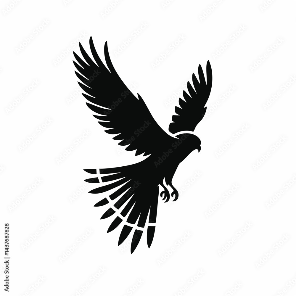 Fototapeta premium A black bird flies right.