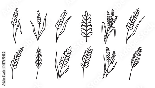 wheat and rye ripe doodle hand drawn icon set. Outline drawing wheat and rye ripe line clipart symbol collection