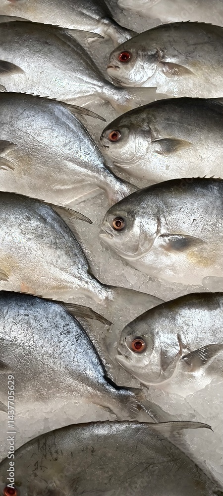 Obraz premium Fresh fish on ice at the fresh market.