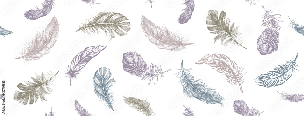 Feather Pattern, set on white Feather Pattern, set on white