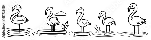 hand drawn flamingo collection black and white vector