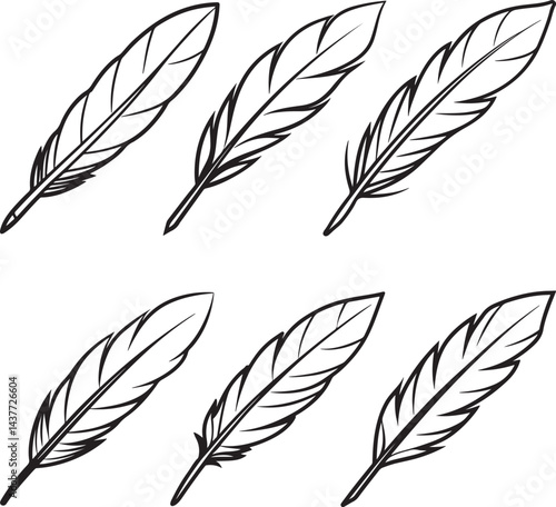 set of bird feather line art, black outline, vector and illustration, coloring book page line art drawing