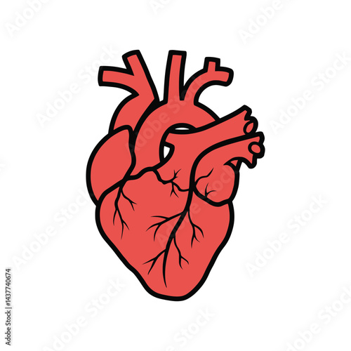 A Human Heart hand drawn vector art illustration