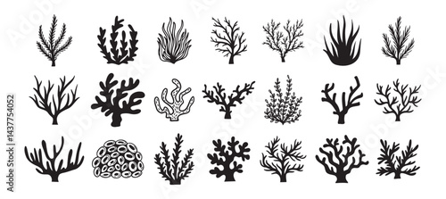 Coral silhouettes, seaweed black icon. Abstract organic corals shape, underwater plant, sea doodle. Cartoon marine floral isolated set 