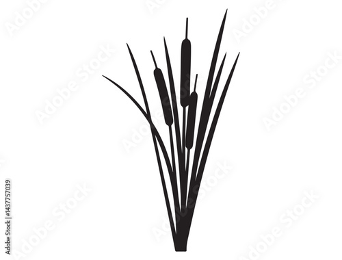 CATTAIL SILHOUETTE WHITE BACKGROUND