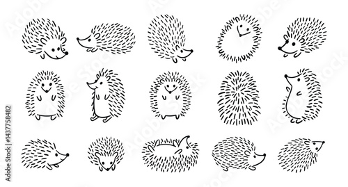 Doodle hand drawn cute hedgehog set. Hand drawn adorable hedgehog collection. Outline drawing for children.