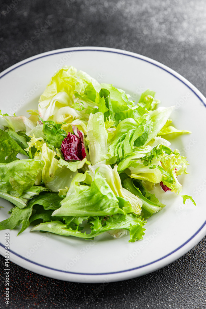 Salad mixed leaves iceberg, batavia, lettuce, radicchio, romano, frisee appetizer vegetables dish organic fresh tasty gourmet food background on the table copy space keto paleo diet vegetarian vegan Salad mixed leaves iceberg, batavia, lettuce, radicchio, romano, frisee appetizer vegetables dish organic fresh tasty gourmet food background on the table copy space keto paleo diet vegetarian vegan