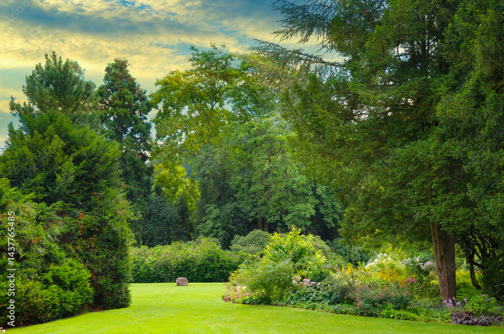 Naklejka premium Beautiful garden with coniferous and deciduous trees and bright sun.