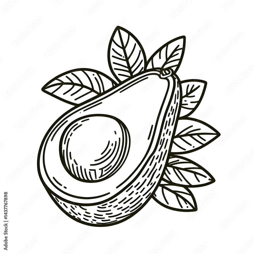 Avocado minimalist black and white silhouette drawing vector illustration Avocado minimalist black and white silhouette drawing vector illustration