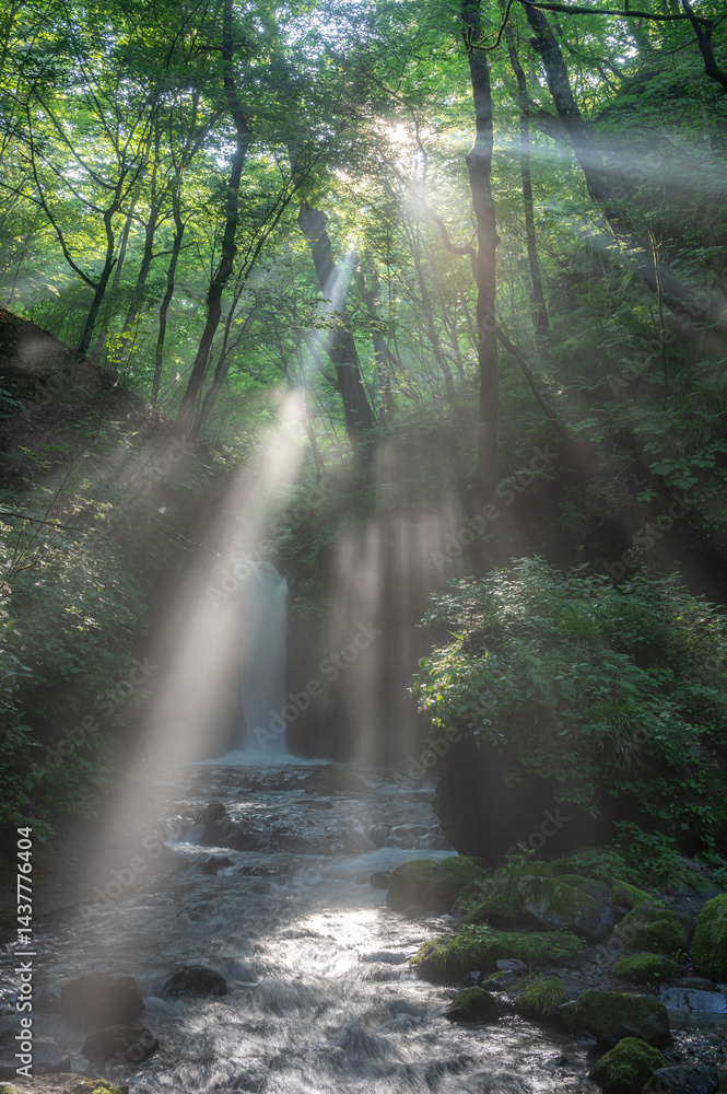 Fototapeta premium 光芒射す長野県軽井沢の竜返しの滝
