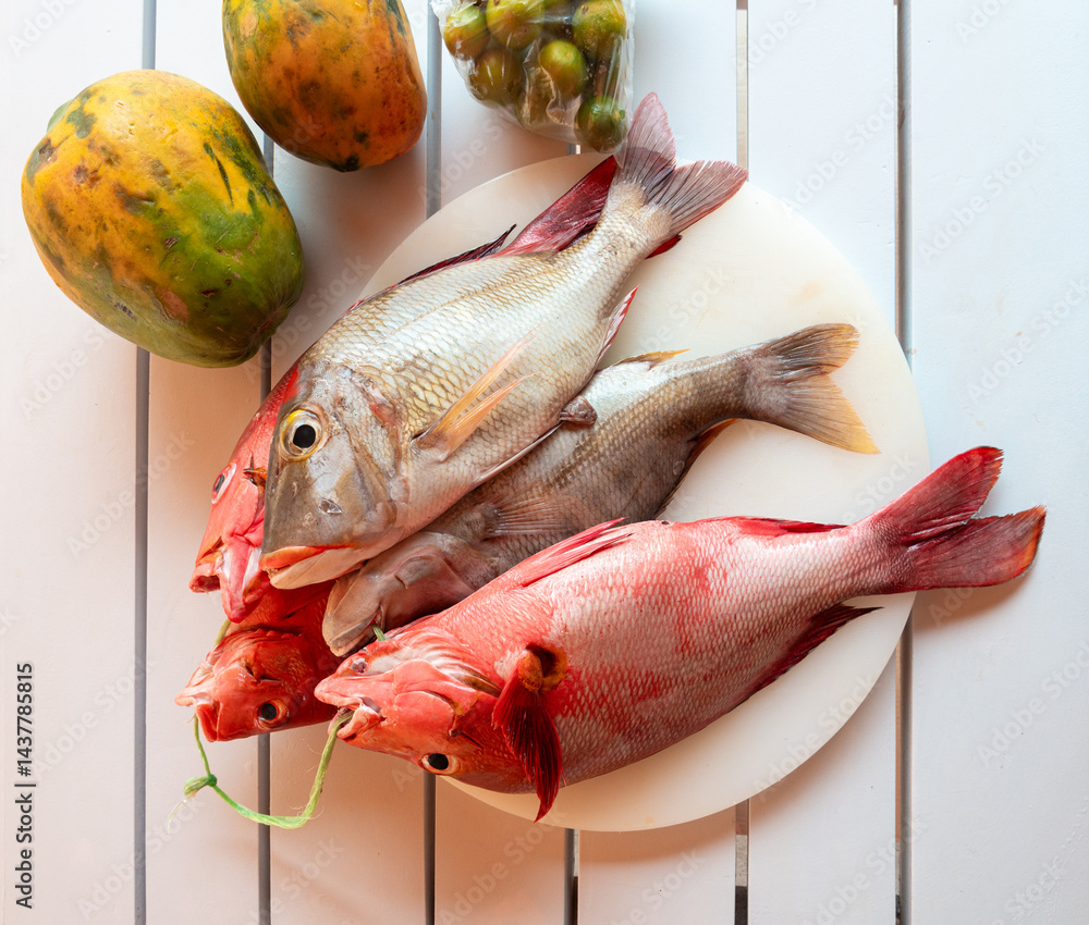 Red Snapper fish close up, Lutjanus or seabream, Sebastes fresh sea food, raw uncooked