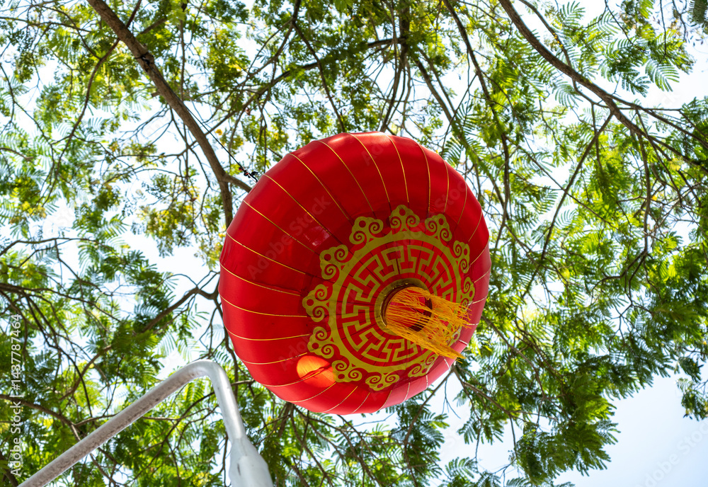 Red Chinese lanterns hanging on green tree in daylight, asian lamps, traditional oriental lanterns