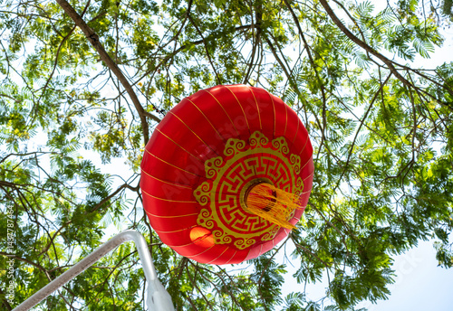 Obraz na płótnie Red Chinese lanterns hanging on green tree in daylight, asian lamps, traditional oriental lanterns w salonie