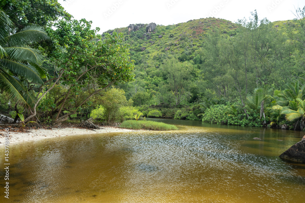 Tropical swamp with lush green vegetation, calm brownish water, hills and rainforest