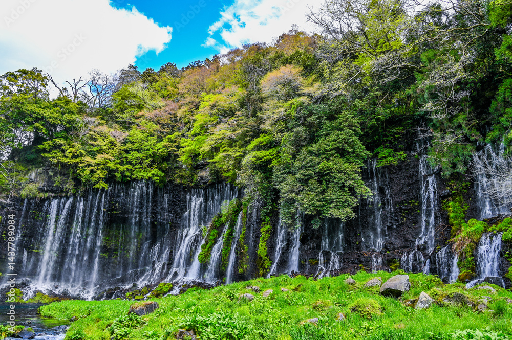 静岡県富士宮市の白糸の滝