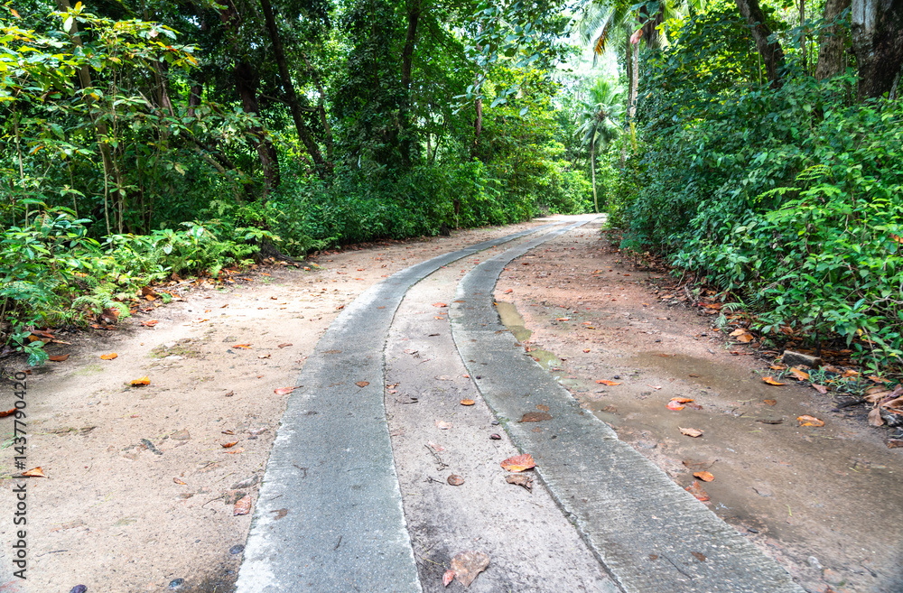 Tropical road to the beach on Praslin Island, Seychelles, winding through lush jungle with sand