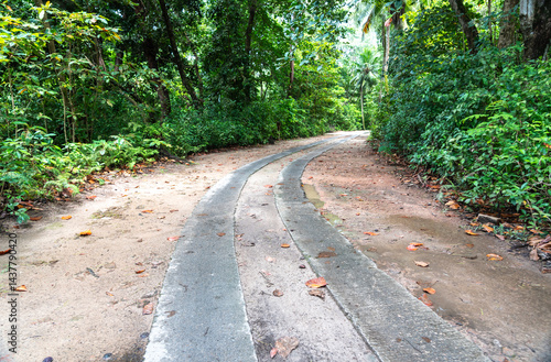 Obraz na płótnie Tropical road to the beach on Praslin Island, Seychelles, winding through lush jungle with sand w salonie