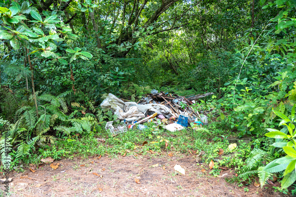 Illegal waste dump in Seychelles jungle on Praslin Island, showing pollution, litter