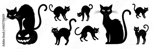 collection of spooky black cat silhouettes in halloween style isolated on white background