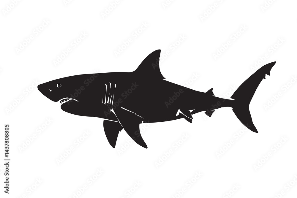 Great White Shark Silhouette – Ocean Wildlife Graphic Great White Shark Silhouette – Ocean Wildlife Graphic