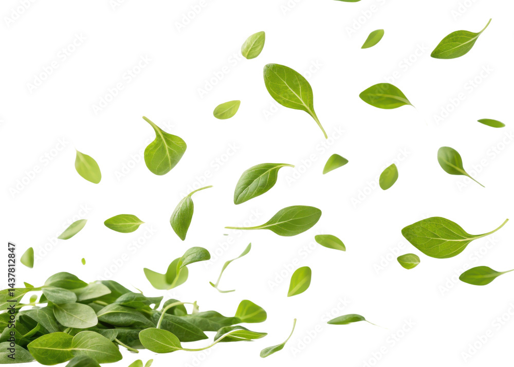 Fresh chickweed leaf flying in air with vibrant green color and natural texture creating lively and refreshing atmosphere in image Fresh chickweed leaf flying in air with vibrant green color and natural texture creating lively and refreshing atmosphere in image