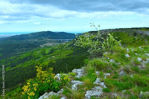 Obraz na płótnie View of Črni kal viaduct from Kraški rob in spring with white and yellow flowering shrubs in Primorska, Slovenia w salonie